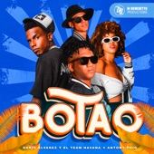 Botao artwork