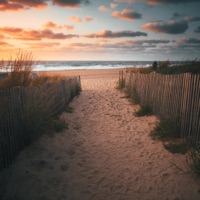 Come and Go (Summer Version) - Single - The MookMann & 11:11 Music Group