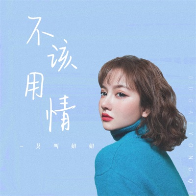 不该用情(DJ女声版伴奏) cover art