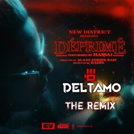 Déprimé (feat. Hassa1) [Remix] DeltaMo