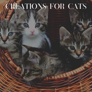Creations for Cats