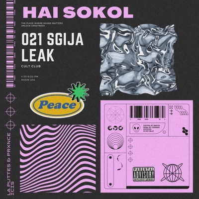 HAI SOKOL (feat. PRXNCE ICIS & La Puttes) [Lost file] - Single