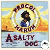 A Salty Dog (2009 Remaster) artwork