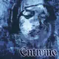 Enjoy the Silence