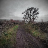 Longitude - Single - Colours in Context