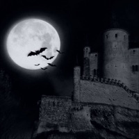 Ночь - Single - STUKACH