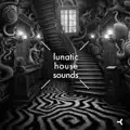 Hallucinogen