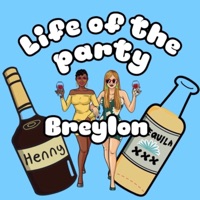 Life of the Party - Single - Brey