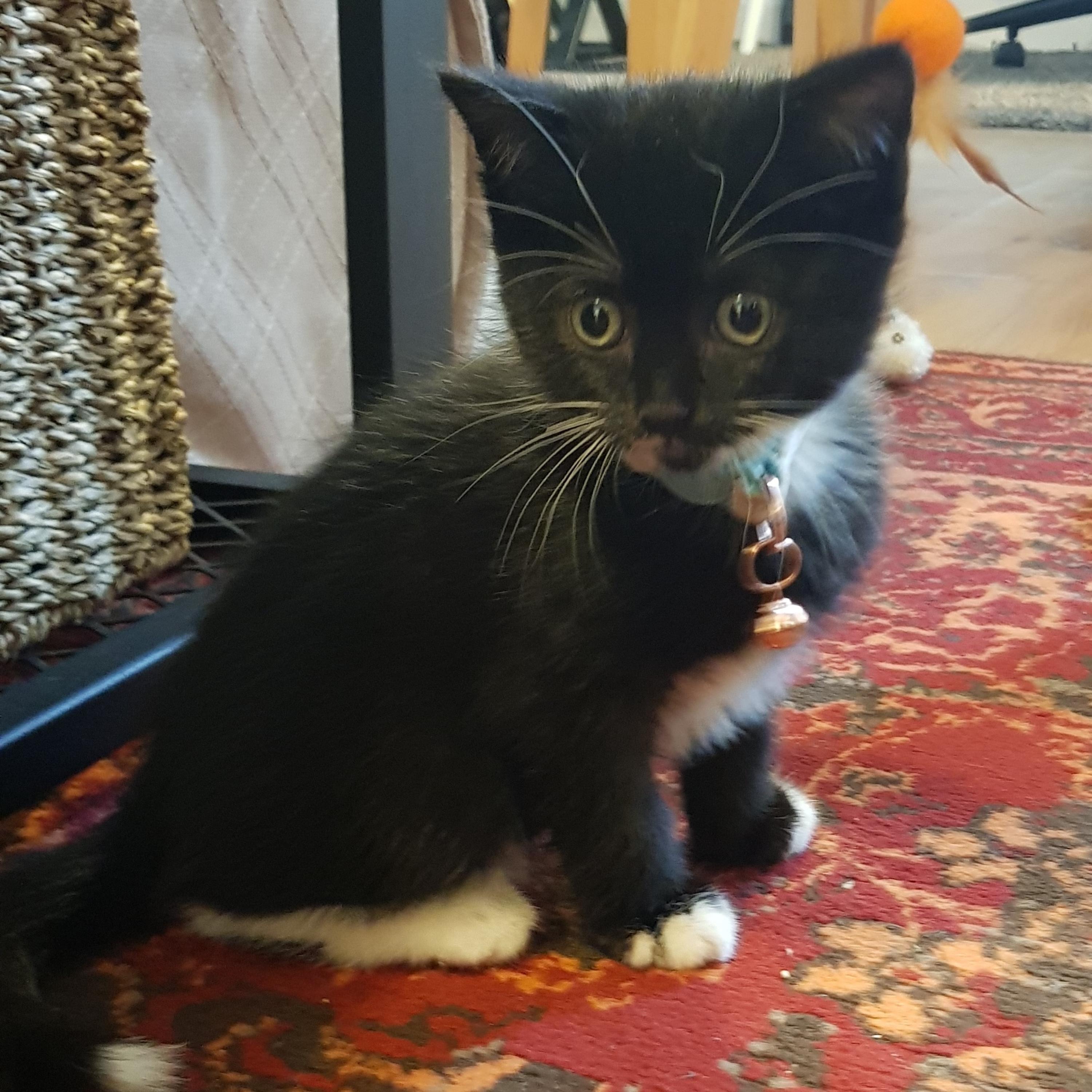 Caroling Across Generations