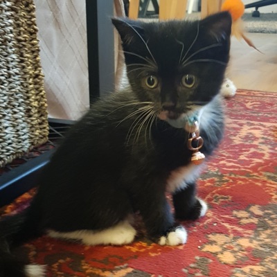 Caroling Across Generations