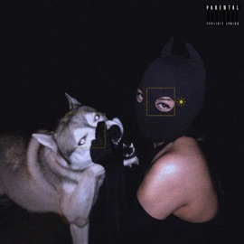 IDC (feat. Sdbyrim) Levi Simon