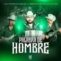 Palabra de Hombre - Single - Los Torrenciales de la Sierra & Grupo Activo 100