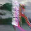 Flexible Response cover art
