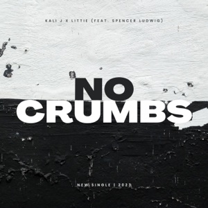 No Crumbs (feat. Spencer Ludwig) - Single