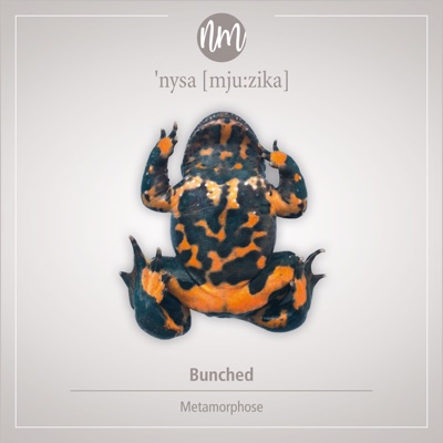 Metamorphose - Single