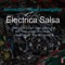 Electrica Salsa - Aeronautics & Phunk Investigation lyrics