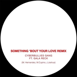 Something 'Bout Your Love (feat. Motive Yaypes, Salacia & Cyber Bullies)