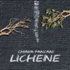 Lichene - Single