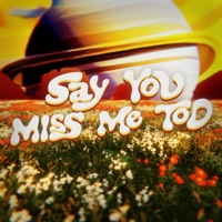 Sayyoumissmetoo - Single - Nhelson & IMTOOFUEGO