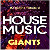 DJ Collins Tribute 2 House Music Giants artwork