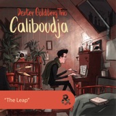 The Leap (feat. Clément Daldosso, Raphaël Pannier & Dexter Goldberg Trio) artwork