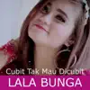 Cubit Tak Mau Dicubit