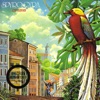Spyro Gyra - Cafe Amore
