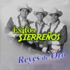 Éxitos Sierreños (Norteño)