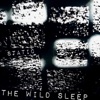 the wild sleep