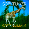 Soft Animals - EP - Sofi Tukker