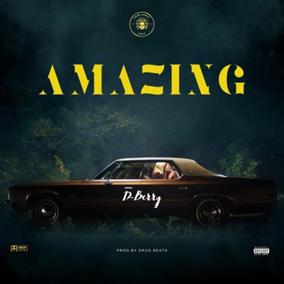 Amazing - Single