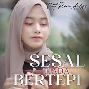 Sesal Tiada Bertepi Album Art