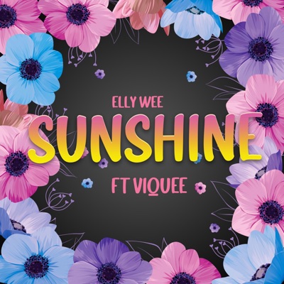 Sunshine - Single