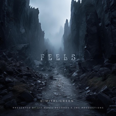 Feels - Single