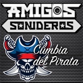Cumbia del Pirata (Instrumental) artwork