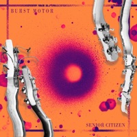Burst Motor - Single - Senior Citizen