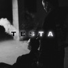 Testa - Single