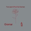 Tore Apart - Single