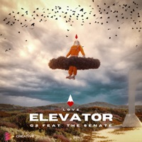 Love Elevator - Single (feat. The Senate) - Single - G2