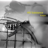 Wasps - HD Substance
