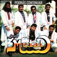 Podrás Continuar - Grupo Metal