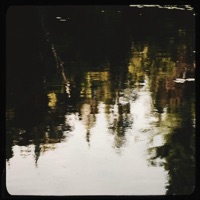 Shapeless - Single - Lascko