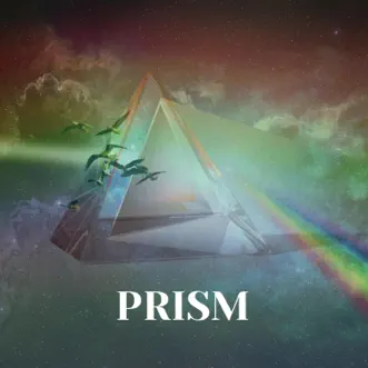 Prism (feat. Elias Berezin, Daniel Segura & Danny Pravder) - Single by Homegrown Collective, Catriona Fray & Alena Bernardi album reviews, ratings, credits