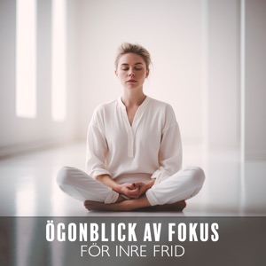 Ögonblick av fokus för inre frid