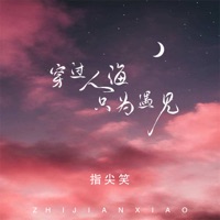 穿过人海只为遇见 (DJ版) - Single - 指尖笑