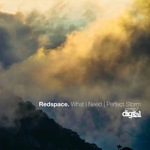 What I Need  Perfect Storm - Single