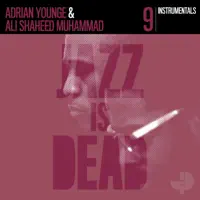 Day By Day — Adrian Younge & Ali Shaheed Muhammad