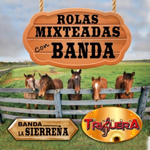 Rolas Mixteadas Con Banda (Banda)