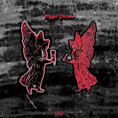 Bigger Picture - Single