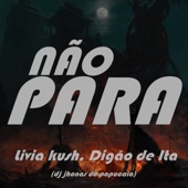 Não Para (Remix) artwork